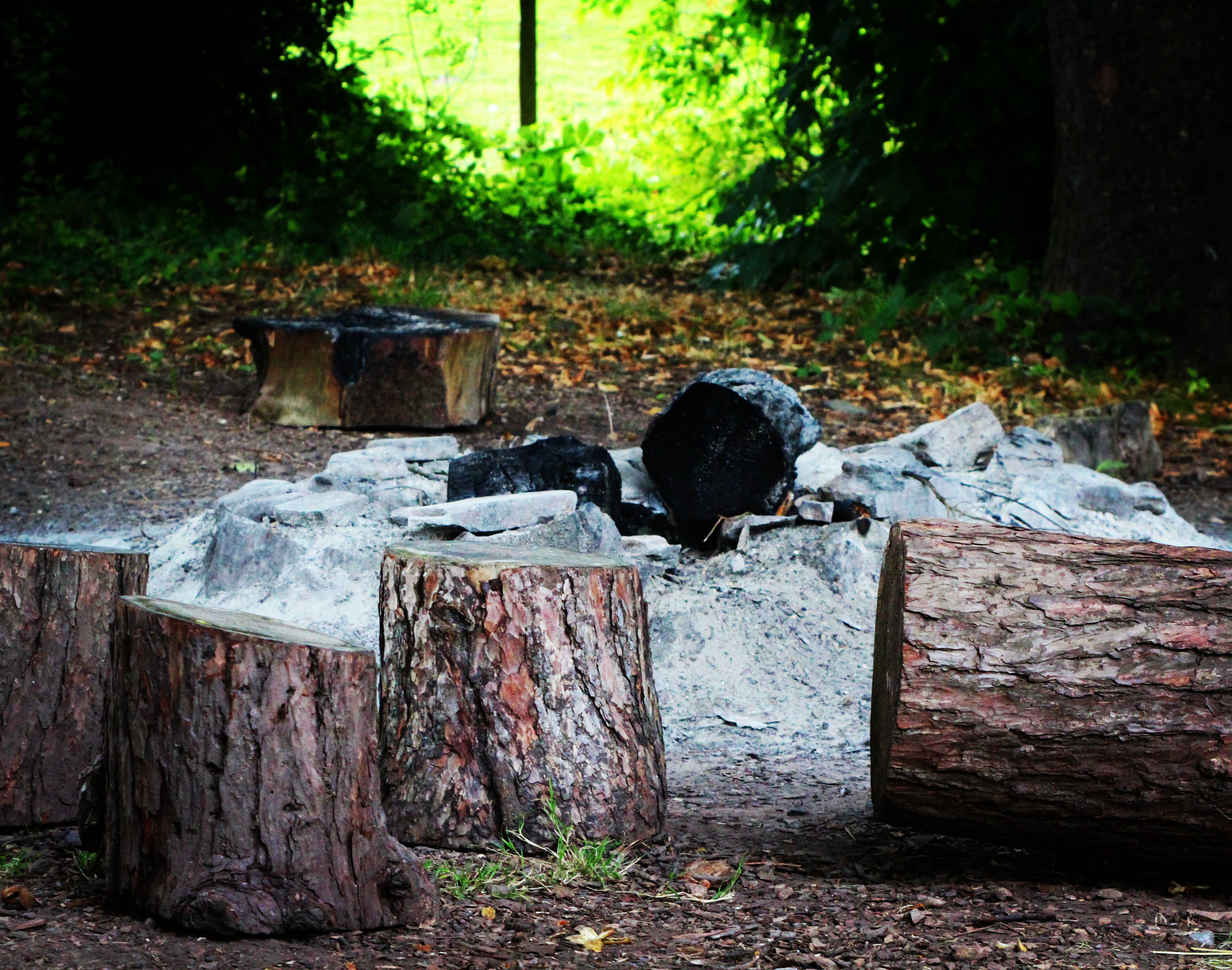 a burnt out campsite