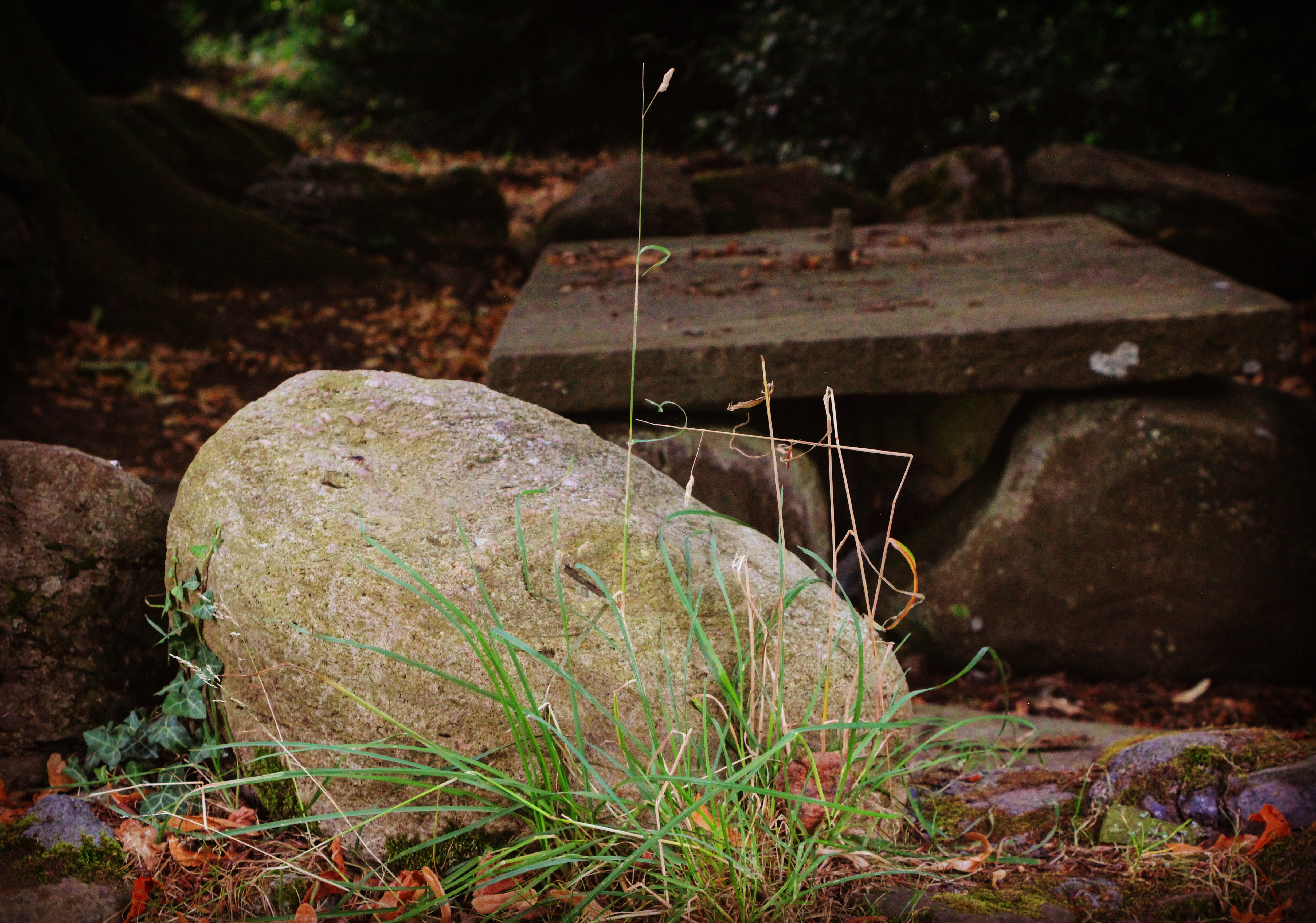 an intriguing rock formation