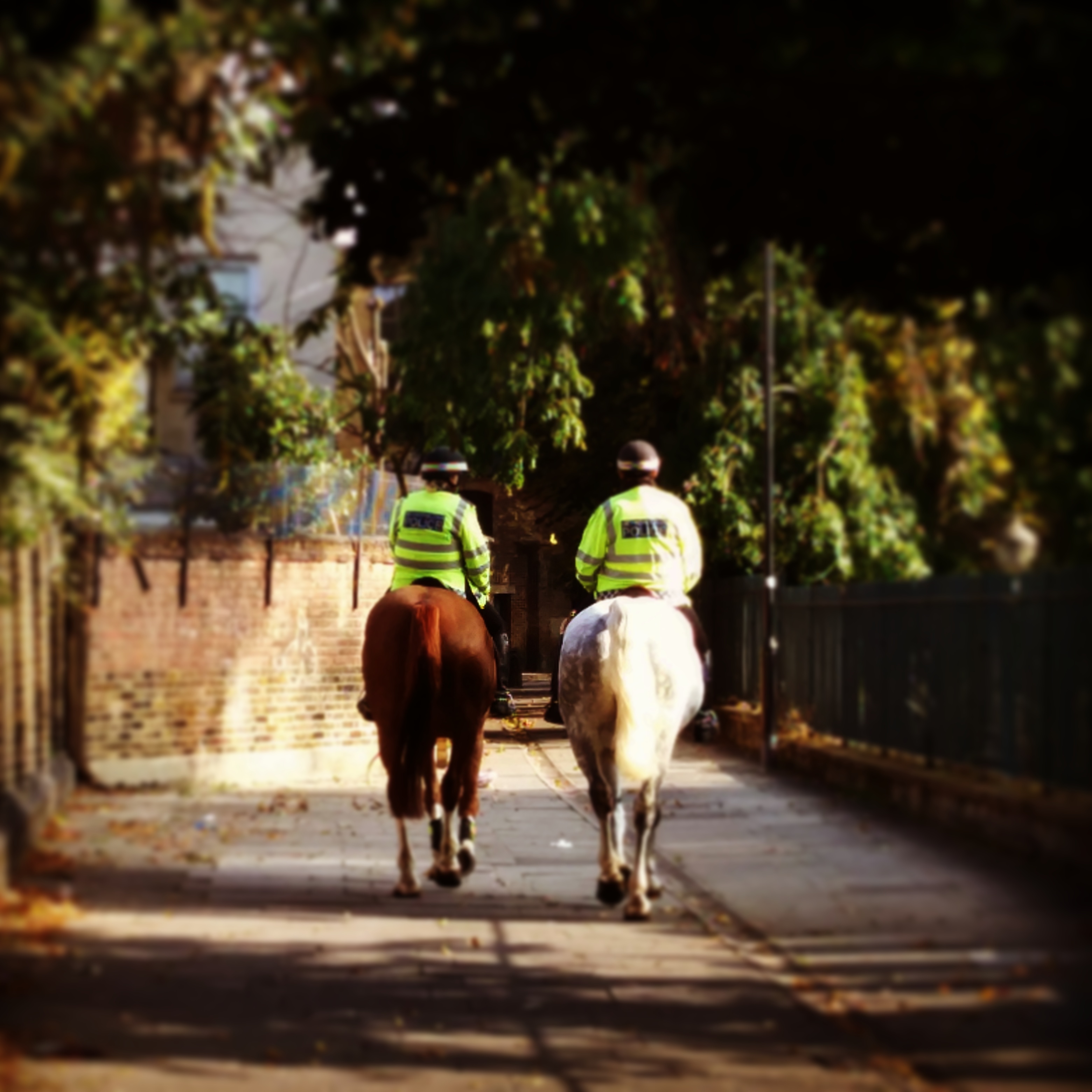 residential horse patrol on a colourless side street