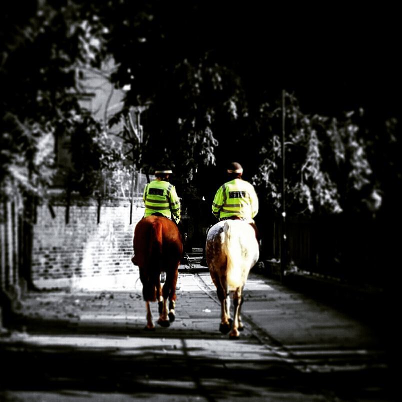 residential horse patrol on a side street